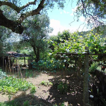 Hostal Casa Rebelo-Pet friendly Cossourado  Exterior foto
